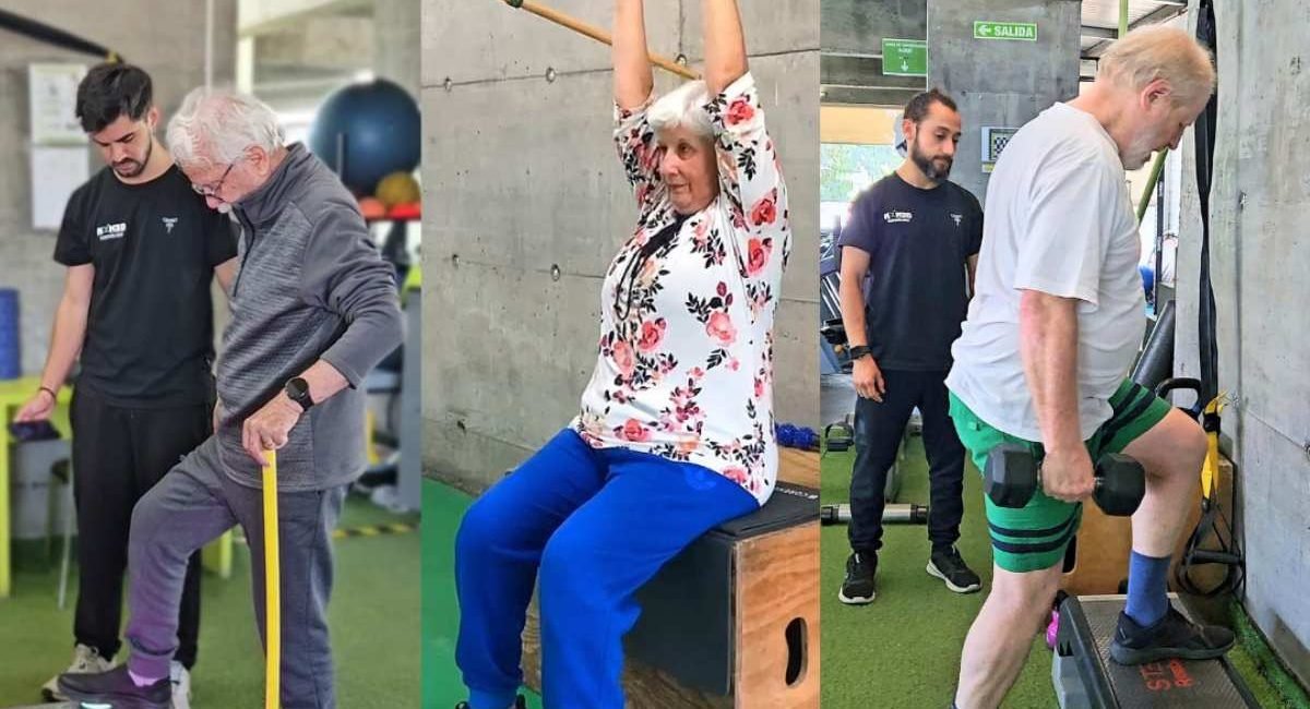 adulto mayores kinesiologia